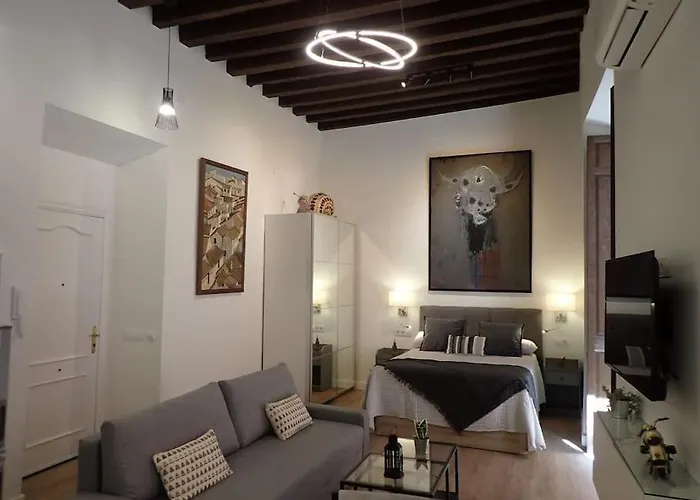 Lejlighed The Loft Chinitas