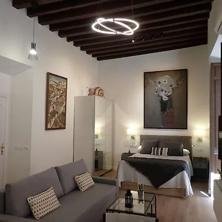 Appartement The Loft Chinitas